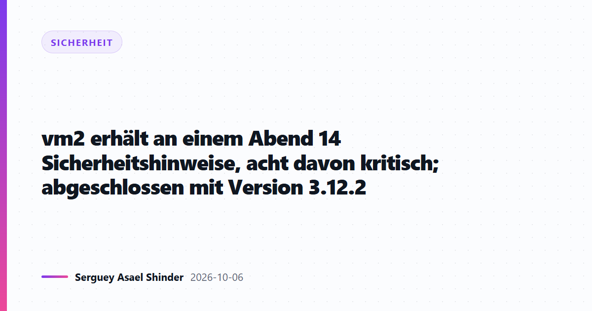 vm2 erhält an einem Abend 14 Sicherheitshinweise, acht davon kritisch; abgeschlossen mit Version 3.12.2